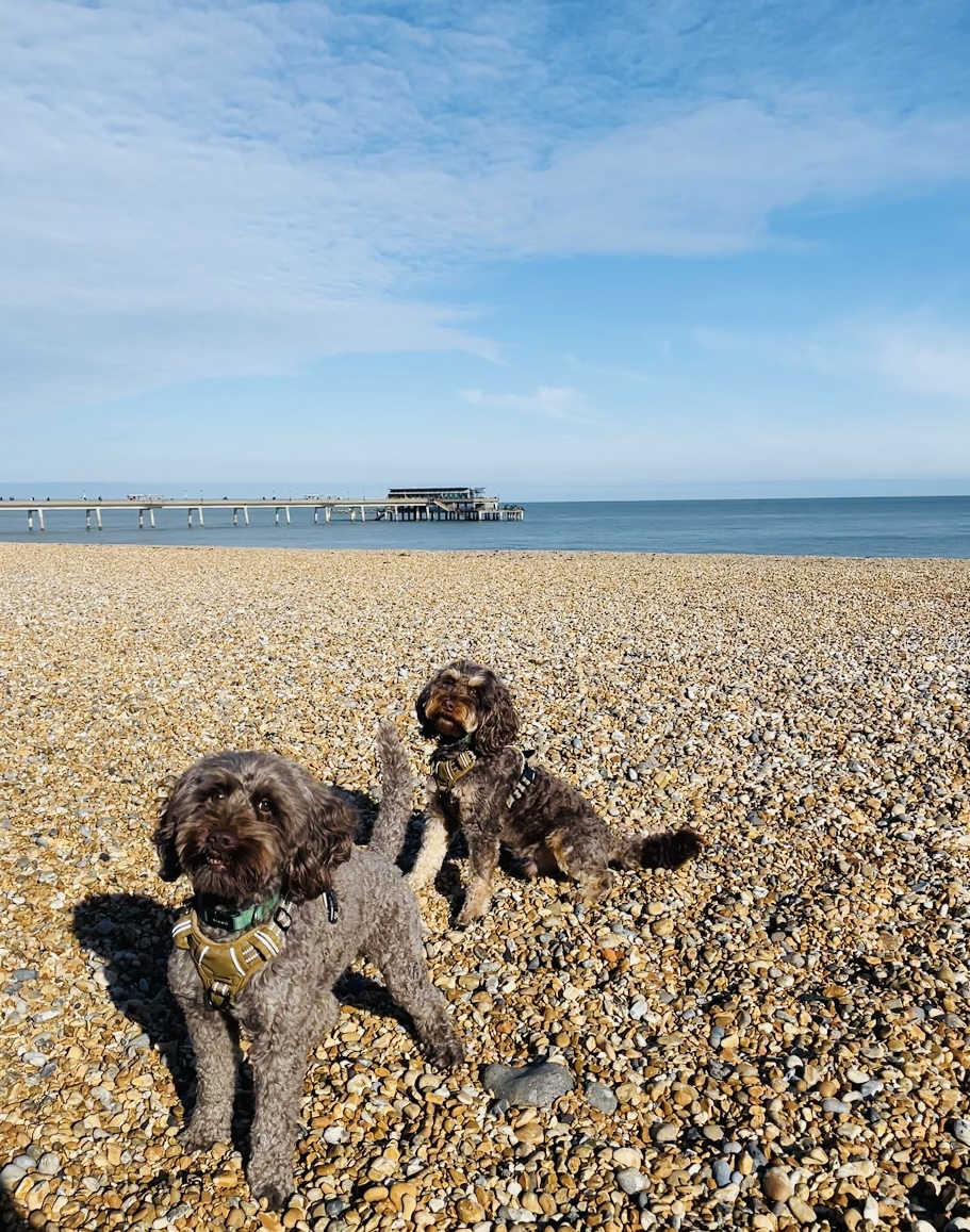 st margarets holiday cottages