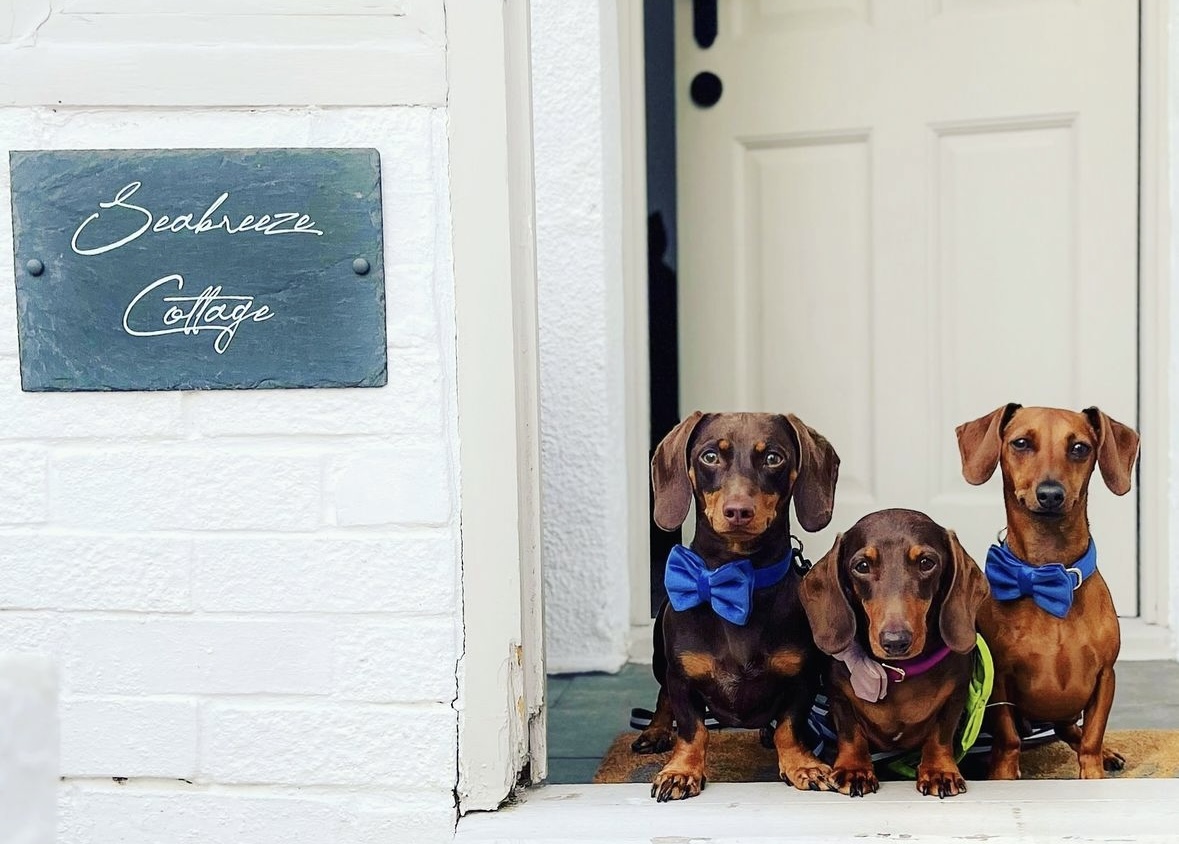 dog friendly stays in kent