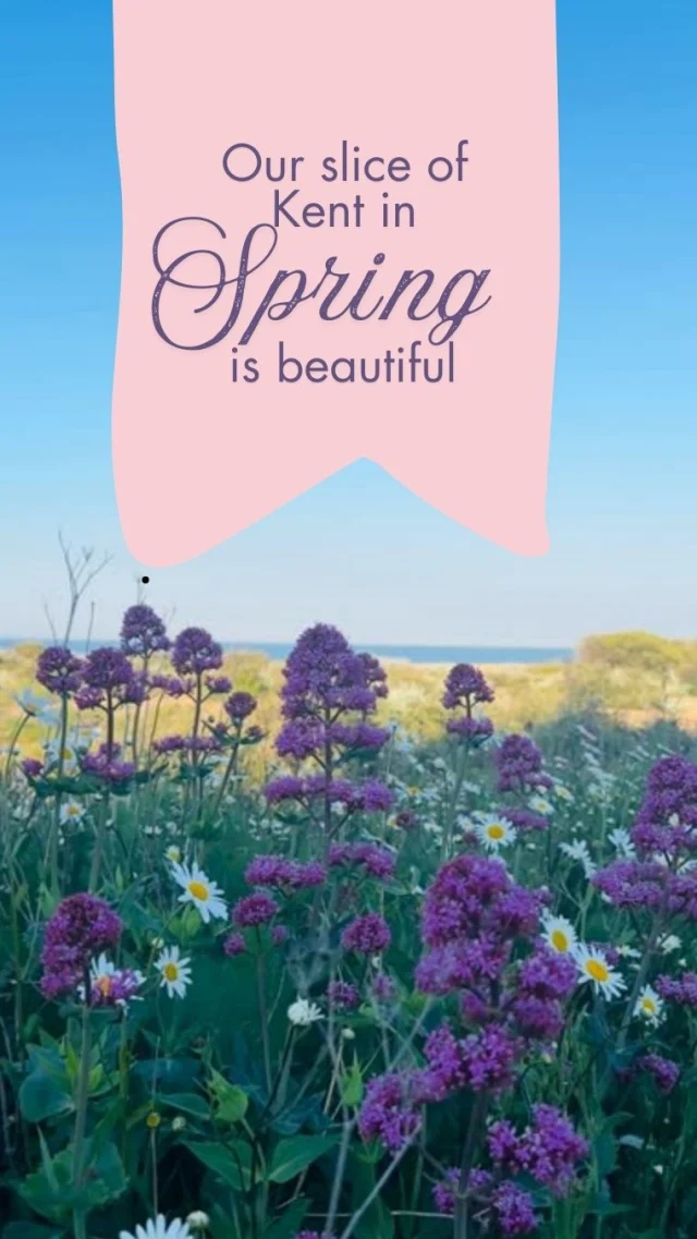 Spring at the coast bursts with colour.

Thanks to the wonderful natural blooms that edge pathways, cliff tops and promenades. The bright blue of the sky. The greens and blues of the sea. The yellow and grey tones of the shore, and the greens of our fields.  Together they make for a pretty spectacular horizon. 

In fact, it’s not just the nature within our slice of Kent that’s getting ready to bloom again….we are also getting ready, because side by side to nature, colourful firsts will soon begin for our season too. 

Here comes ice cream delights, breakfast al fresco, Kent strawberries and…if we dare..the first paddle of the season!

We can’t wait, and we can’t wait to welcome our guests. 
You are all invited 🌼 

#springhassprung #kentcoast #sunshinegetaway #ukcoastline #visitkent