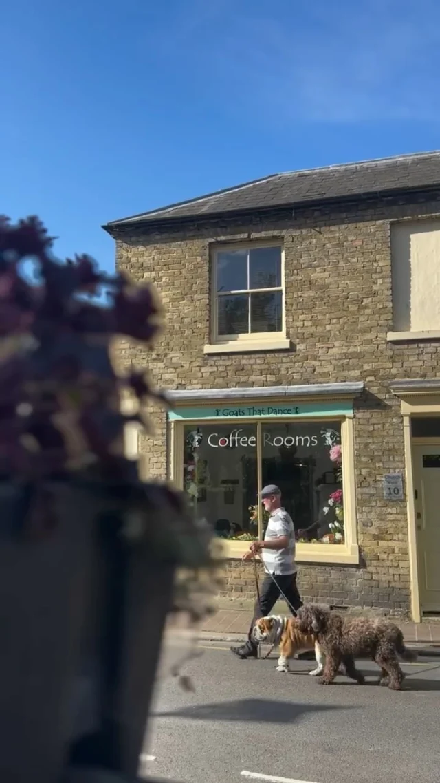 The quiet whimsical corners of the most 
beautifully preserved medieval town in Kent - A place known for its rich history, narrow streets, half-timbered houses and a slow pace of life.

This is #sandwichkent 
This is Kent
This is the UK
This is the Garden of England 

And best of all…
This is easy to get to!

Why not soak up the surroundings, recharge your soul and make a weekend of it - The Foreland Cottages Way. 

#visitkent #ukstaycation #kentcoast #weekendsaway