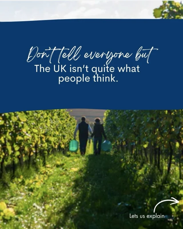 Turns out…the UK isn’t just rainy streets, queues and endless cups of tea 🇬🇧

Beyond London is a coastline filled with sea swims, vineyard trails, independent food spots, hidden beaches and long slow days by the water.

And honestly?
That’s exactly why we love Kent.

From paddleboarding at sunrise and beach-side aperols to brunches worth travelling for and cliff walks with barely another soul in sight, this corner of the country quietly rewrites people’s expectations.

And when the exploring is done, there’s somewhere beautiful waiting to come home to.

Tap the link in bio to discover Kent through a local lens.

REST. RECHARGE. REJUVENATE.
#kentcoast  #ukstaycation #coastalescape #holidaycottagesuk #thisistheuk 
@dealpierkitchen @simpsonswine @hut55deal @walmercastleandgardens @foreland_cottages