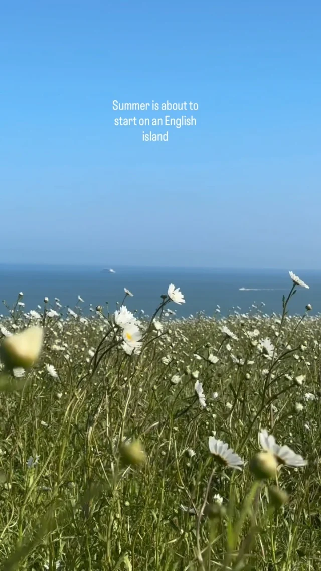 Sea swims before breakfast. A paddleboard on glassy water.  Clifftop walks with France on the horizon. Shore side picnics with bubbles and everything in between. 
This is the Kent coast in summer (and she is pretty special)

Want to know the best way to experience it? 
A few days here, with a gorgeous base to call home, and knowledge only the locals know so you can explore this wonderful corner of the UK coastline.

It’s waiting for you.
To check Summer availability, take a little peak at the link in bio.

#uksummer #kentcoast #englishsummer #visitkent #summerplans 

Rest. Recharge. Rejuvenation
The Forelands Way - with a Summer escape to the Kent coast