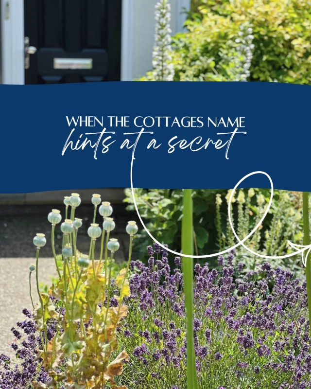 She has a few tucked up her sleeve, but that serene garden and its proximity to that peaceful - practically all yours - beach is one of the best surprises about Fig Tree Lane.

Now add to that:
🌳 A full size garden ping pong table 
🌳 A garden snug for quiet afternoons or yoga practise
🌳 A peloton for that energised morning
🌳 A spacious living area with the best sofas
🌳 Instagram worthy bedrooms
🌳 Magazine featured interiors

Plus
🌊 Private off-street parking 
🌊 Space for guests bikes or beachwear 
🌊 Two large bedrooms 
🌊 Two bathrooms
🌊 That large dining table for connect mornings and that somewhat overflowing basket of games 

This is Fig Tree Lane - a beautiful hideaway in arguably one of Kents prettiest destinations: Kingsdown. 
Sandwiched between St Margarets and Deal and edged with white cliffs. 

#coastalgetaway #weekendsaway #summerescape #ukstays #kentcoast