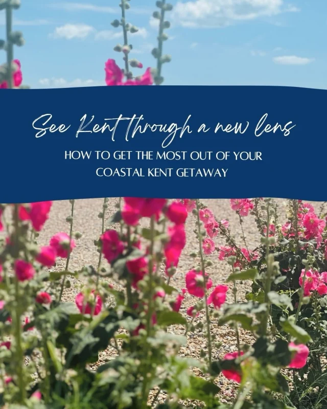 We love the coastline of South East Kent and are convinced you will to. Some of its treasures are easy to find and some take a little guidance…which is where we come in.

As proud locals, we have always showcased our personal local loves and are here to help with any of our guests questions be that pre stay or during their stay.

So never ring and say ‘sorry to ask but, can you advise on…’ because it’s actually our favourite thing to do ☺️

The question is, can you shut us up once we get going 😂

#livelikealocal #insidekent #kent #coastalstyle #coastalgetaway