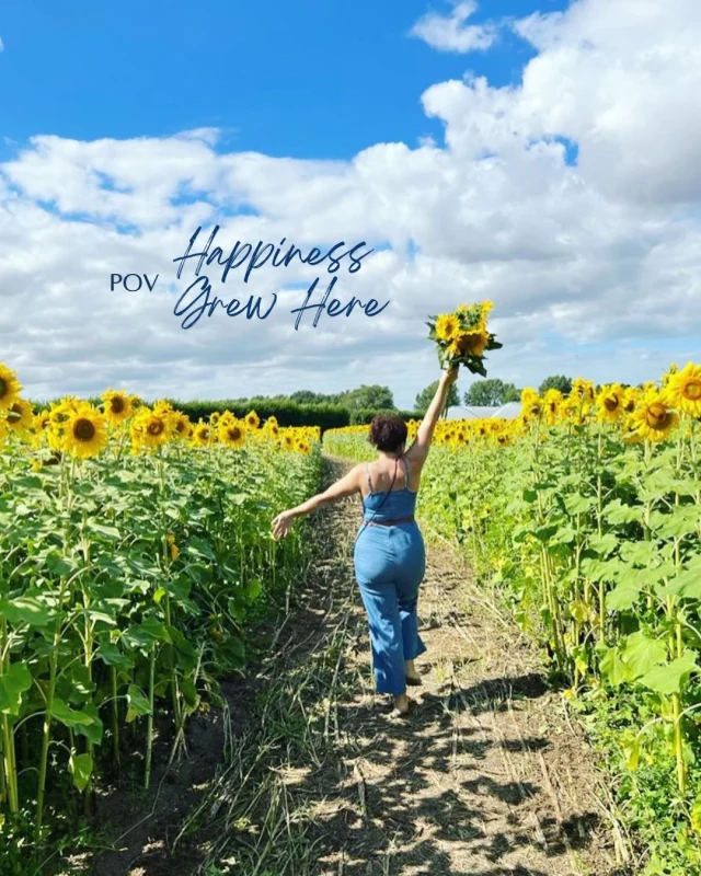 This joyous sea of yellow joins us end of July / beginning of August - offering our guests a little moment of calm and a pop of colour to take home and remind them of their wonderful stay with us. 

WHERE IS THIS?
These waves of petals are nestled just moments from our cottages, between our coastline and the medieval streets of Sandwich at Felderland Farm. 
We are huge fans as it offers our guests a wonderful morning complete with alfresco coffee, surrounded by flower and fruit fields, before they venture to Sandwich for exploring and seal sightings. 
It’s a little taste of the Kent countryside for our guests who simply can’t pull themselves away for long from our coastline - and we love that. 

WANT TO MAKE THIS YOURS?
Book your stay with us:  We have wonderful cottage options for you, giving you that much needed weekend getaway. 
Ask us for help - there is so much to do on our coastline  that it can be quite a muddle of options. We are happy to help you and can even plan an afternoon which includes these gorgeous sunflowers and your own shots like these through our fantastic photographers. 💛 

Yes - that is pretty cool! ☺️

Now we hope you enjoy your slow Sunday and your new perusal of our website 😂

#loveaflowerfield #holidaycottagesuk #weekendsaway #uksummer #coastalgetaway