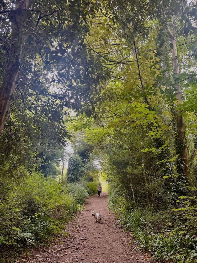 The first signs of autumn!

The leaves are only just beginning to turn, the days are still beautifully bright, and walks like this are waiting just beyond your cottage door.

This is the lovely in-between season on the Kent coast delivering quieter paths, long walks, mild afternoons and somewhere cosy to return to afterwards. And, of course, no need to leave the dog behind.

If an October escape sounds rather good, take a look at our remaining autumn stays in Deal and along the surrounding coast.

Rest. Recharge. Rejuvenate.
Book direct at forelandcottages.co.uk

#ukgetaway #coastmeetscountry #coastallife #dogfriendlytravel #walkingholidays