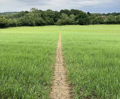 KINGSDOWN HOLIDAY COTTAGES