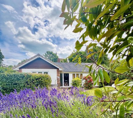 kingsdown holiday let