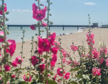 kingsdown holiday cottages